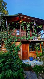 a log cabin with ivy growing on the side of it at Beehouse Mandala in Guarne