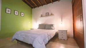 ein Schlafzimmer mit einem Bett und einer grünen Wand in der Unterkunft Malaika Hostel Medellín in Medellín