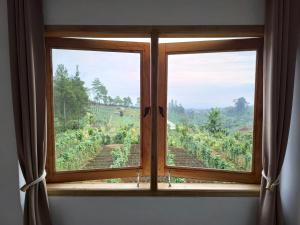 uma janela com vista para uma vinha em Maison Manendra em Gubukklakah