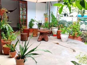 Φωτογραφία από το άλμπουμ του Hospedaje Casa Amazónica Iquitos σε Iquitos