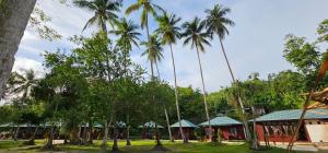 a group of palm trees in front of a building at Raflow Resort Raja Ampat in Tapokreng