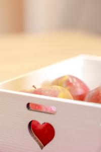 Billede fra billedgalleriet på Zeiserhof i Ramsau am Dachstein + 98 billeder