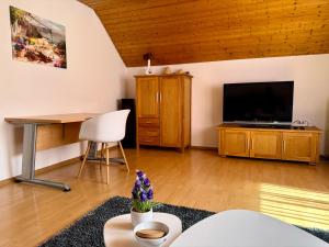 TV a/nebo společenská místnost v ubytování Business-Apartment Braun