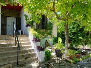 uma casa com escadas e plantas e uma árvore em Casa Rural La Promesa Granada em Víznar