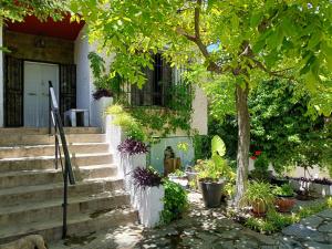 Vonkajšia záhrada v ubytovaní Casa Rural La Promesa Granada