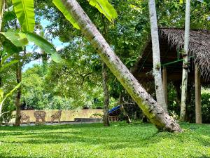Giardino di Track Monkey's Lodge