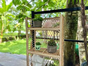 Giardino di Track Monkey's Lodge