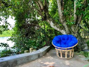 Giardino di Track Monkey's Lodge