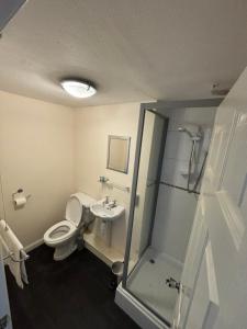 a bathroom with a toilet and a shower and a sink at Half Moon Inn in Middlesbrough