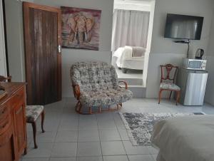 a bedroom with a chair and a bed and a television at Oppihoek Gastehuis in Kroonstad