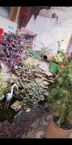 Fotografie z fotogalerie ubytování Casa Larimar v destinaci Bogotá