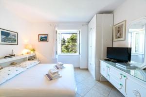 Μια τηλεόραση ή/και κέντρο ψυχαγωγίας στο Apartments Zoe
