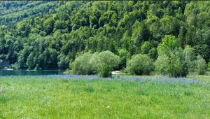 Peisaj natural din apropierea acestei case de vacanță