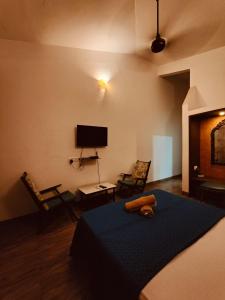 TV a/nebo společenská místnost v ubytování Hotel Bonanza