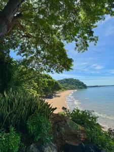 vista su una spiaggia con un albero e sull'oceano di Manga Soa Lodge a Fascène - Befefika