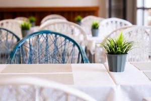 una mesa con sillas blancas y macetas. en Hotel Valencia, en Las Palmas de Gran Canaria