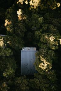 una vista aérea de una caja metálica en un bosque de árboles en Treetop Tranquility, en Opua