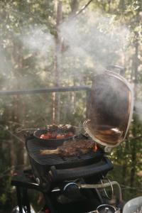grill z mięsem i patelnią z jedzeniem na nim w obiekcie Treetop Tranquility at Rekindle Treehouses w mieście Opua