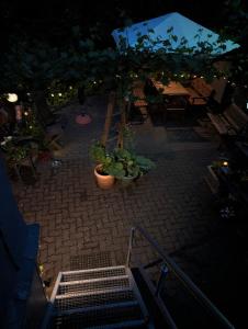 Zahrada ubytování FeWo Altstadt BL
