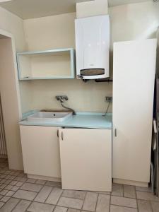eine Küche mit einer Spüle und einem weißen Kühlschrank in der Unterkunft Alba Apartment - Only Family in Riccione