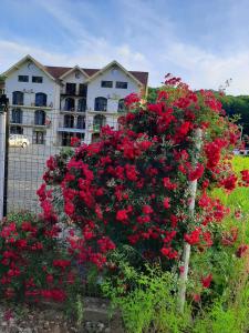 Zahrada ubytování Sofial Guesthouse