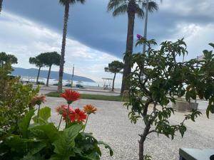 - un jardin avec des fleurs et des palmiers sur la plage dans l'établissement Albanian Riviera Appartement, à Vlorë