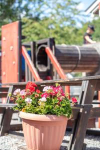 un plantador con flores en él sentado en una mesa en Stockholm Ängby Camping en Estocolmo
