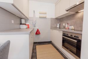 Kuchyň nebo kuchyňský kout v ubytování Appartement ski in&out à Thyon