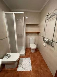 ガンディアにあるApartamento En Puerto De Gandiaのバスルーム(シャワー、トイレ、シンク付)