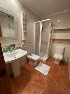 ガンディアにあるApartamento En Puerto De Gandiaのバスルーム(洗面台、トイレ、シャワー付)