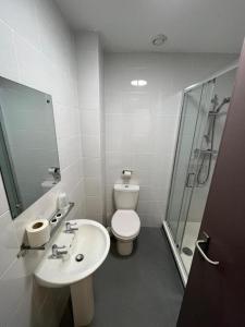 a bathroom with a toilet and a sink and a shower at The Bournbrook Inn in Birmingham