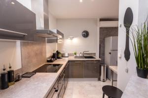 une grande cuisine avec des appareils en acier inoxydable et un comptoir dans l'établissement Le Canopé - Duplex Confort, Hypercentre, 2 Salles d'eau, à Castres