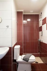 Koupelna v ubytování Dafni Plus Hotel