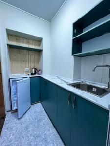 Kuchyň nebo kuchyňský kout v ubytování Guest House Leon