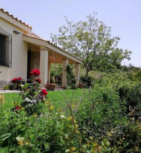 Taman di luar S'orrosa casa vacanze bifamiliare in montagna panorama stupendo Sardegna