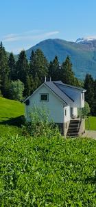 a house on a hill with a green field at Holiday home among the pearls of Norway in Stranda