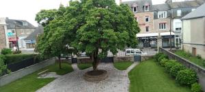 un árbol en medio de un parque con césped en Le beau séjour, en Pontorson