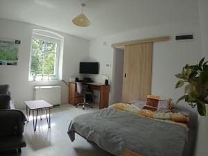 sypialnia z łóżkiem, biurkiem i telewizorem w obiekcie na Slowackiego w Szklarskiej Porębie
