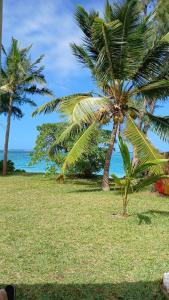twee palmbomen op een grasveld met de oceaan bij Tilakaz Kreol in Pointe d'Esny