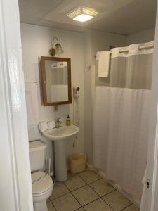 un bagno con un water e un lavandino di The Champagne Suite 2 a Hammondsport Altre 34 foto