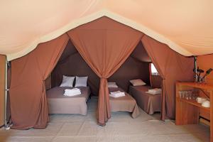 uma tenda com duas camas em Huttopia Vallouise em Vallouise