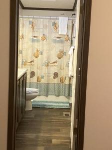 a bathroom with a toilet and a shower curtain at Weller Island Retreat in Hammondsport