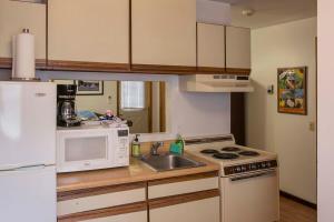 a kitchen with a white refrigerator and a sink at The Keuka Suite 3 in Hammondsport