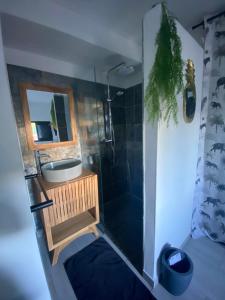 a bathroom with a shower and a sink and a mirror at Villa MYA Location in Saint-Pierre +50 photos