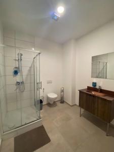 Hotel Linzer City في لينز: حمام مع دش زجاجي ومرحاض