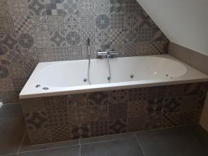 Vannituba majutusasutuses B&B De Vlierbeek