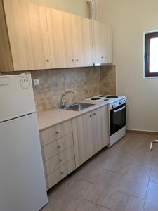 une cuisine avec un évier et un réfrigérateur blanc dans l'établissement Iras House, à Karditsa 7 autres photos