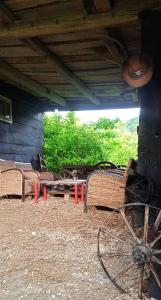 Zahrada ubytování Guesthouse DARKWOOD