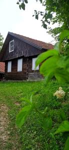 Zahrada ubytování Guesthouse DARKWOOD