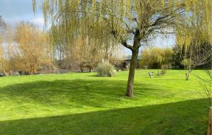 a tree in the middle of a grass field at Lake Front Home In Moitron-Sur-Sarthe in Moitron-sur-Sarthe +8 photos